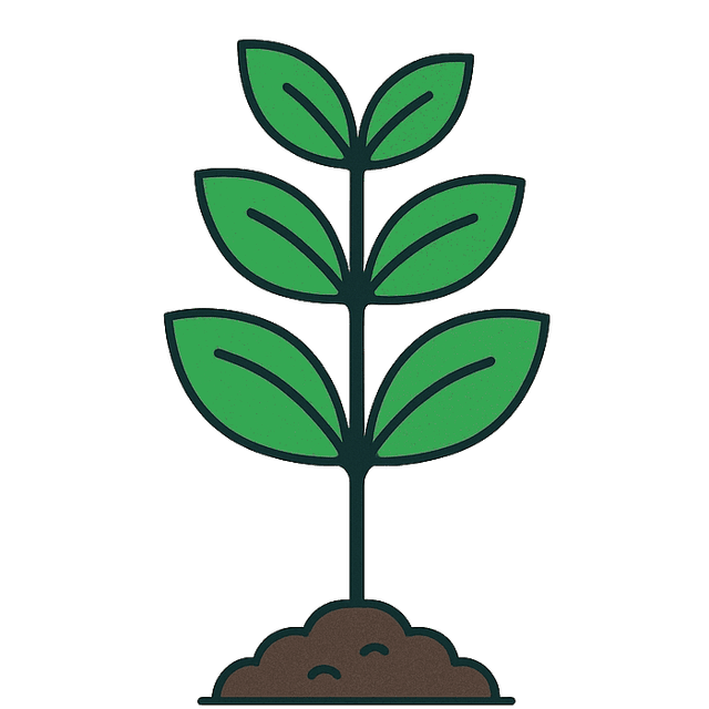 Mature tree Enterprise